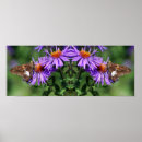Buscar flores y mariposas posters Madre