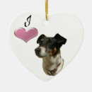 Buscar enchufe adornos Terrier