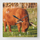 Buscar escocia relojes de pared Ganado