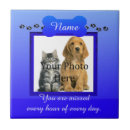 Buscar pata del perro azulejos Huellas de pata