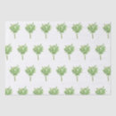 Buscar menta papel de seda Moda