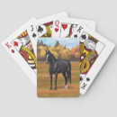 Buscar caballo negro barajas de cartas 6 º caballito