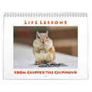 Buscar chipper Chippie