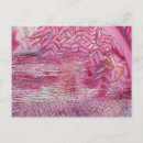 Buscar para alguien especial postales Rosa