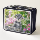 Buscar schnauzer almacenaje alimentos Cachorro