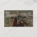Buscar sealife tarjetas de visita Negocio