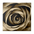 Buscar macro azulejos Rosa