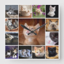 Buscar cat relojes de pared Para mascotas