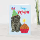 Buscar terranova tarjetas Cachorro