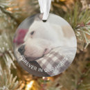 Buscar mascota memoriales adornos General y unisex
