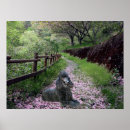 Buscar caniche negro posters Cachorro