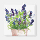 Buscar flor de lavanda imanes Primavera