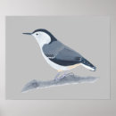 Buscar pájaro posters General y unisex