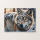 Buscar lobo salvaje puzzles Invierno