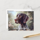 Buscar perros de caza postales Perro pájaro
