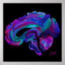Buscar cerebro posters Neurociencia