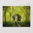 Buscar elefante indio postales Para todos