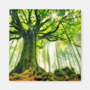 Buscar francia imanes Naturaleza