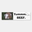 Buscar carne pegatinas parachoque Carne de vaca