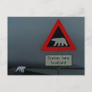 Buscar polar postales Svalbard