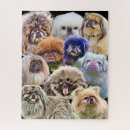 Buscar rescate animal puzzles Animales