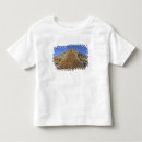 Buscar precolombino camisetas Kukulcan
