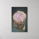 Buscar cristal lienzos Fondo negro