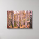 Buscar abatimiento arte Bosque
