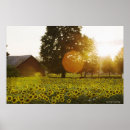 Buscar construido posters Rural
