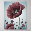 Buscar amapolas rojas posters Para ella