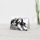 Buscar collies barbudos tarjetas Perro