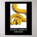 Buscar vidente posters Serpiente