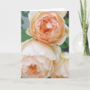 Buscar rosa oscuro tarjetas Flores