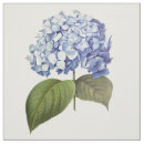 Buscar hydrangea telas Elegante
