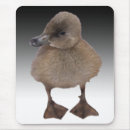 Buscar ducky alfombrillas de raton Lindo