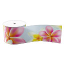 Buscar hawaii cintas Tropical
