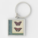Buscar mariposa llaveros Insectos