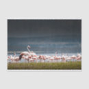 Buscar que adaptable fotografía Paisaje