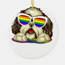 Buscar bandera gay adornos Bisexual