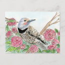 Buscar parpadeo postales Fauna