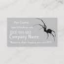 Buscar control de parásito Araña