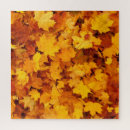 Buscar indios puzzles Otoño