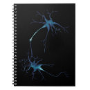 Buscar neuronas libretas Sinapsis