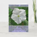 Buscar vinca tarjetas Botánico