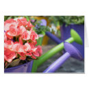 Buscar begonia Jardinería