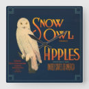 Buscar búho del vintage relojes de pared Para todos