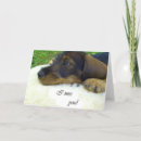 Buscar dackel tarjetas Dachshund