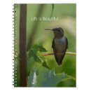 Buscar colibrí fotografía Naturaleza