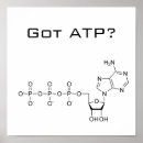 Buscar bioquímica arte Ciencia