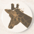 Buscar cuello largo posavasos Animal